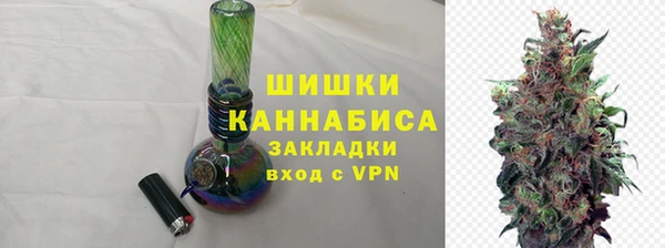 ГАЛЛЮЦИНОГЕННЫЕ ГРИБЫ Краснослободск