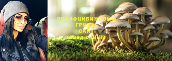 амф Краснотурьинск