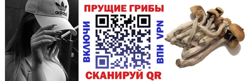 Галлюциногенные грибы Magic Shrooms  купить наркотики цена  Брюховецкая 